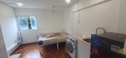 Spottiswoode Park (D2), Apartment #587559101